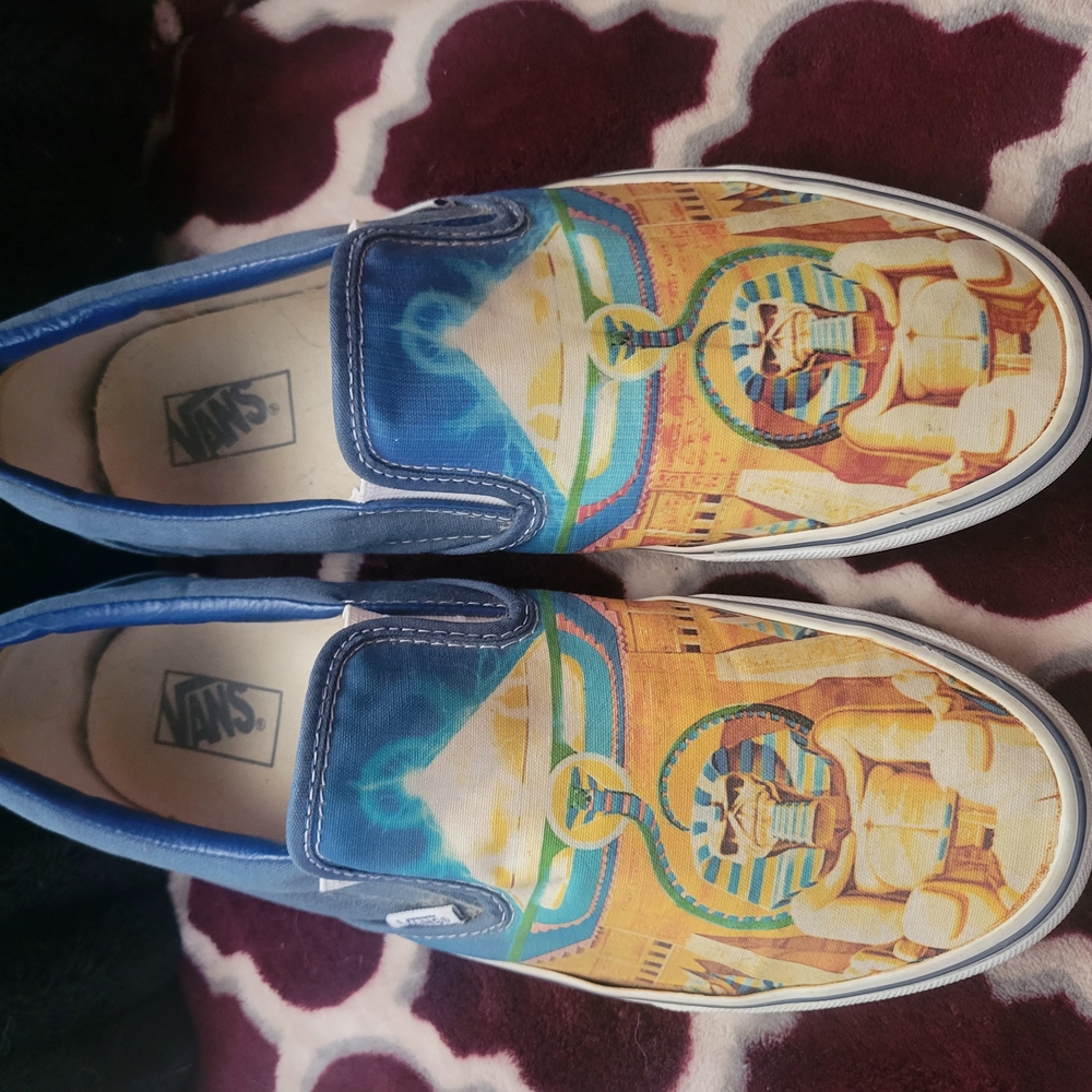 Vans Blue and Multicolor Slip-On Shoes